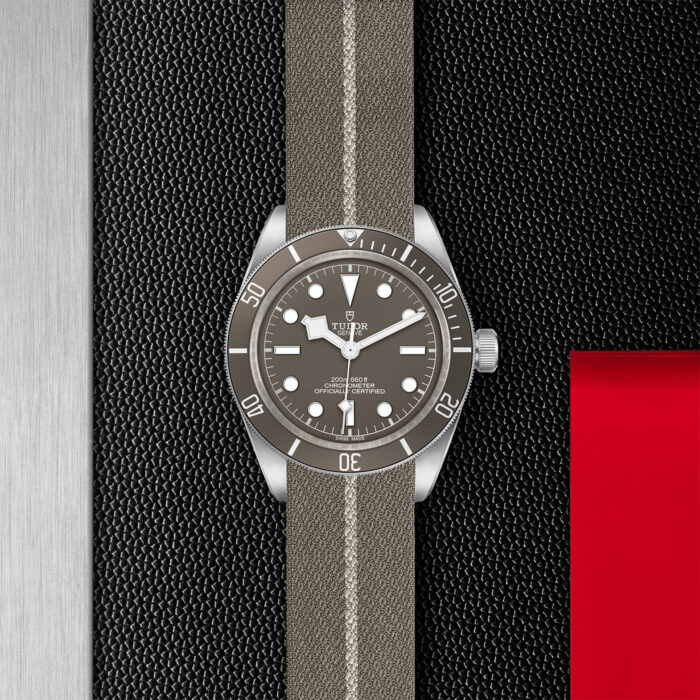 TUDOR Black Bay Fifty-Eight 925 39mm Silver - Image 3