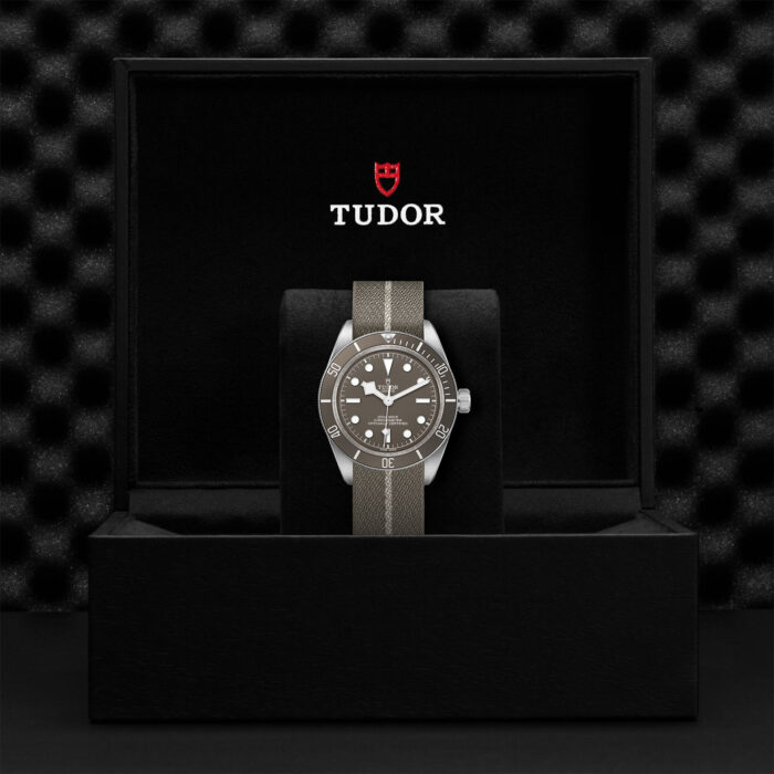 TUDOR Black Bay Fifty-Eight 925 39mm Silver - Image 2
