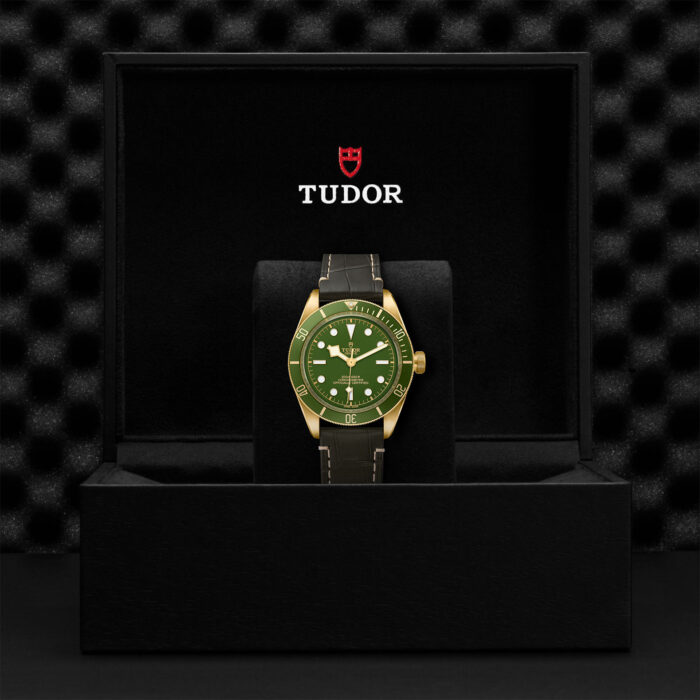 TUDOR Black Bay Fifty-Eight 18K 39mm 18K Gold - Image 2