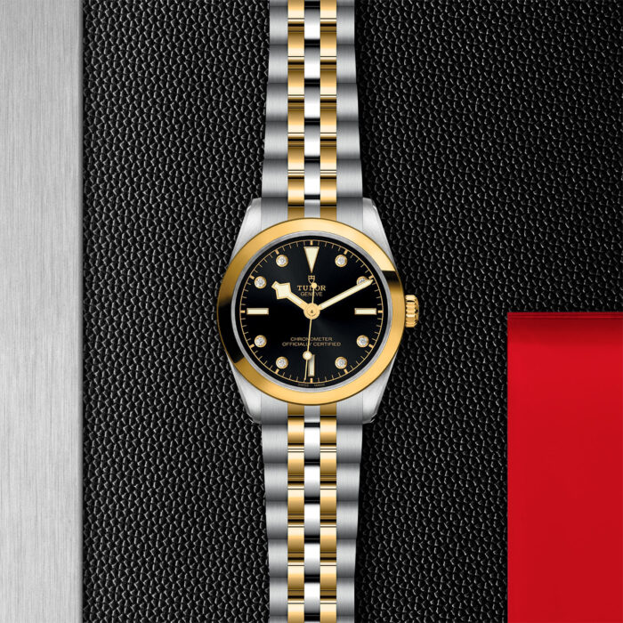 TUDOR Black Bay 31 S&G M79603-0006 - Image 3