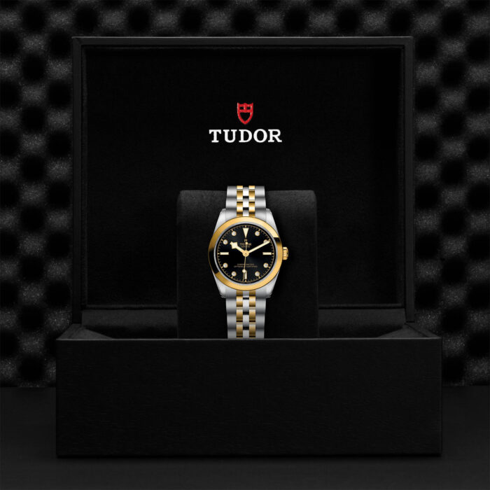 TUDOR Black Bay 31 S&G M79603-0006 - Image 2
