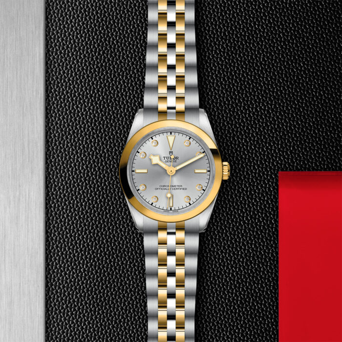 TUDOR Black Bay 31 S&G M79603-0007 - Image 3
