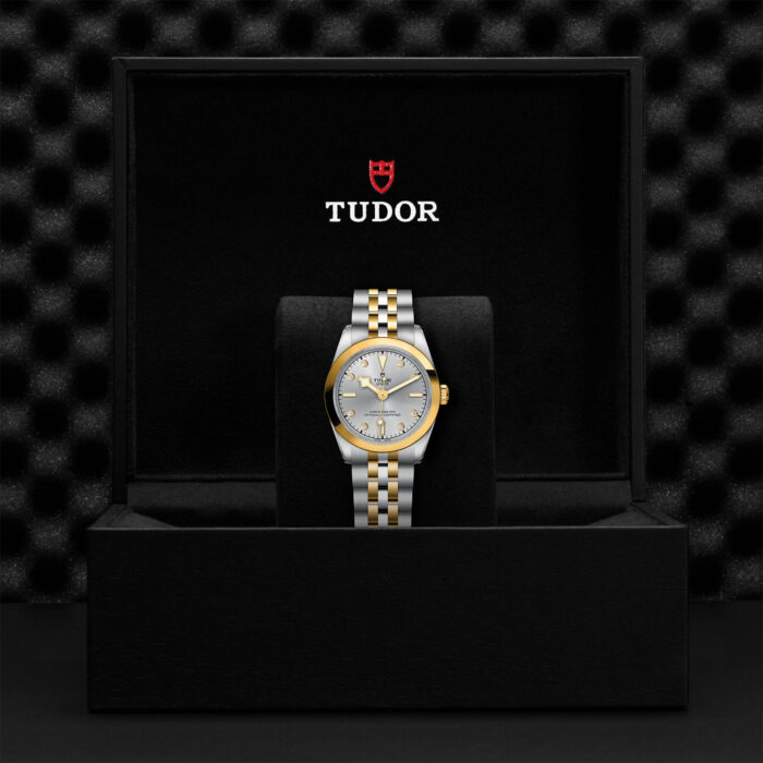 TUDOR Black Bay 31 S&G M79603-0007 - Image 2