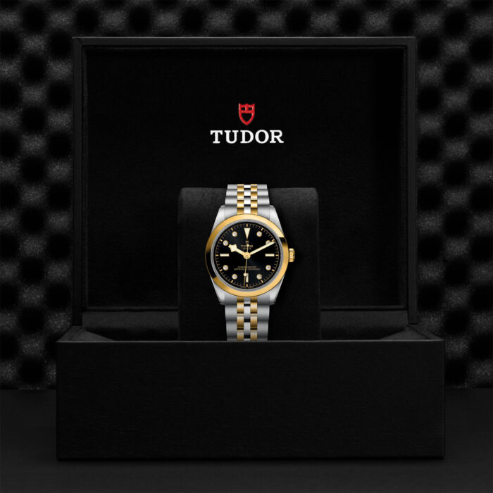 TUDOR Black Bay 36 S&G M79643-0006 - Image 2