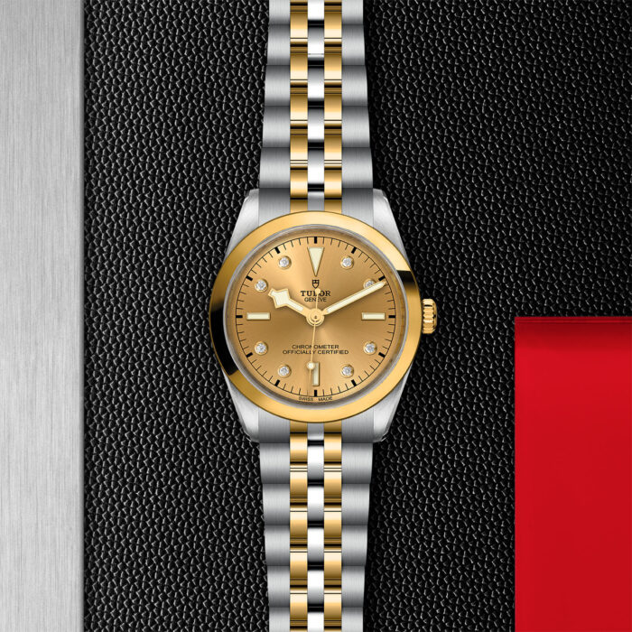 TUDOR Black Bay 36 S&G M79643-0008 - Image 3