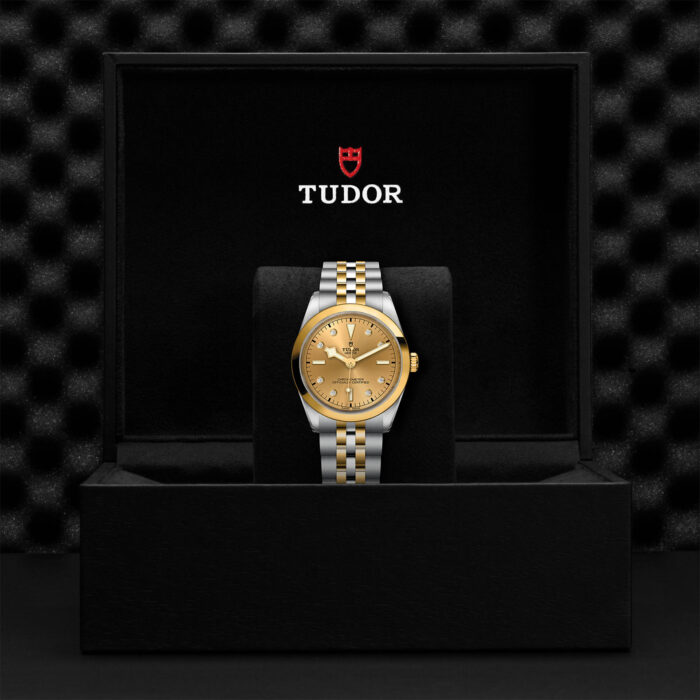 TUDOR Black Bay 36 S&G M79643-0008 - Image 2