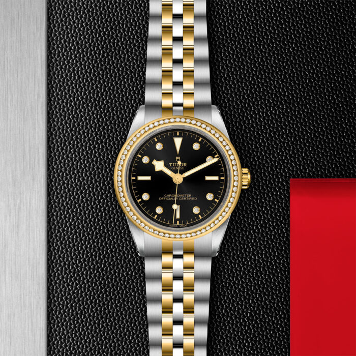 TUDOR Black Bay 39 S&G M79673-0005 - Image 3