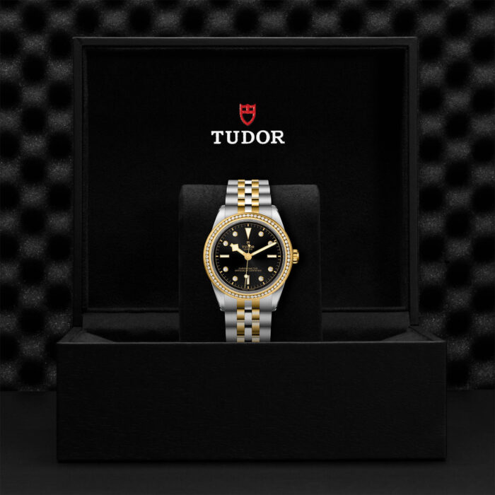 TUDOR Black Bay 39 S&G M79673-0005 - Image 2