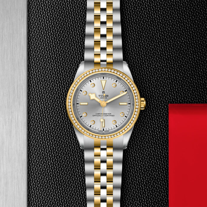 TUDOR Black Bay 39 S&G M79673-0006 - Image 3
