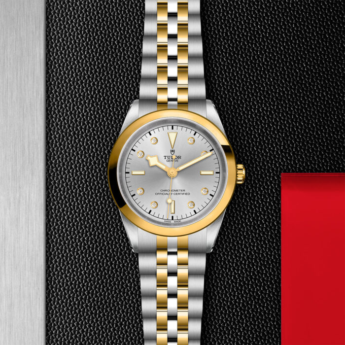TUDOR Black Bay 41 S&G M79683-0007 - Image 3