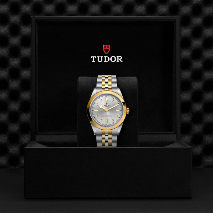 TUDOR Black Bay 41 S&G M79683-0007 - Image 2