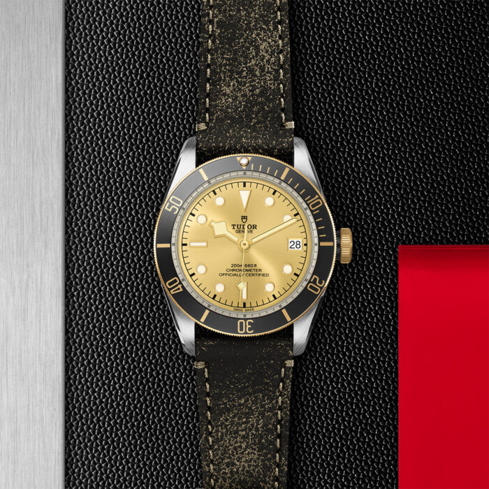 TUDOR Black Bay S&G 41mm Steel and Gold - Image 3