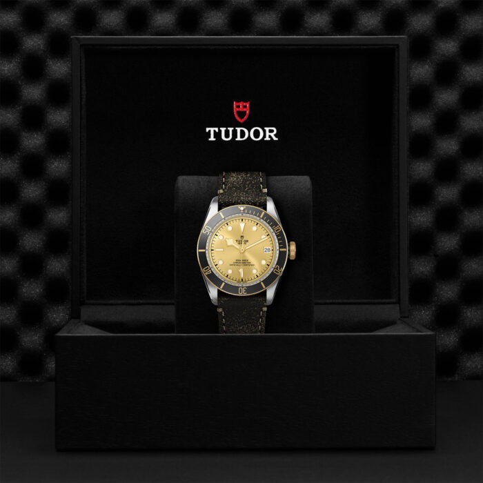 TUDOR Black Bay S&G 41mm Steel and Gold - Image 2