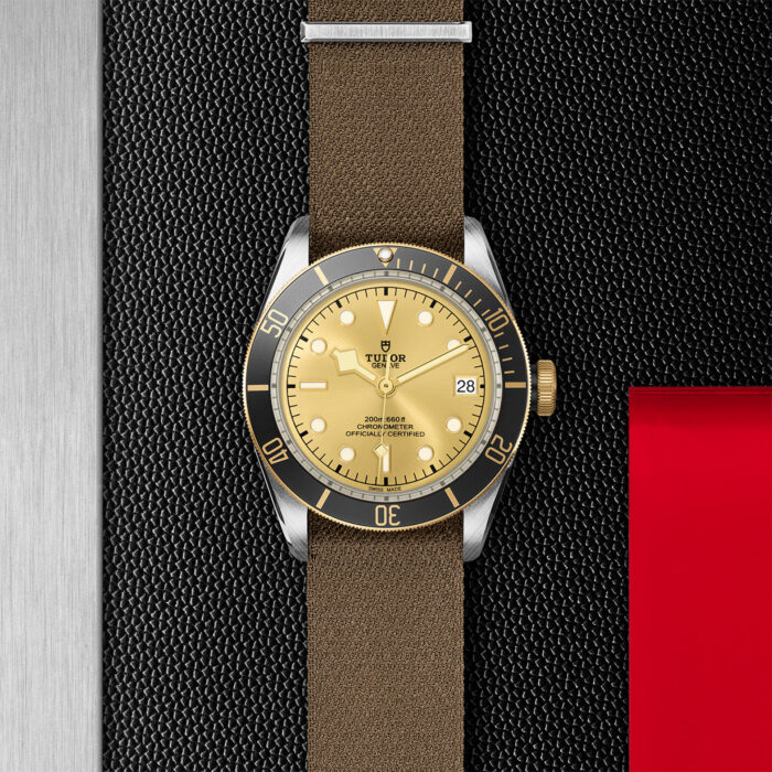 TUDOR Black Bay S&G 41mm Steel and Gold - Image 3