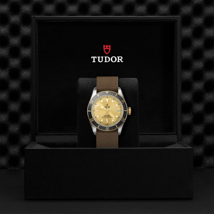 TUDOR Black Bay S&G 41mm Steel and Gold - Image 2