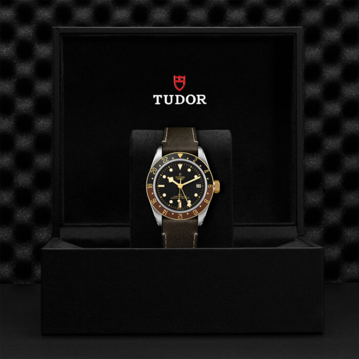 TUDOR Black Bay GMT M79833MN-0003 - Image 2