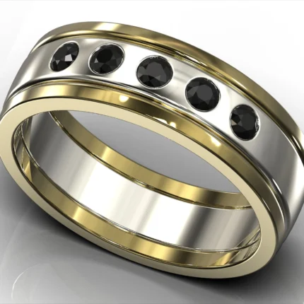 Schubert Ring